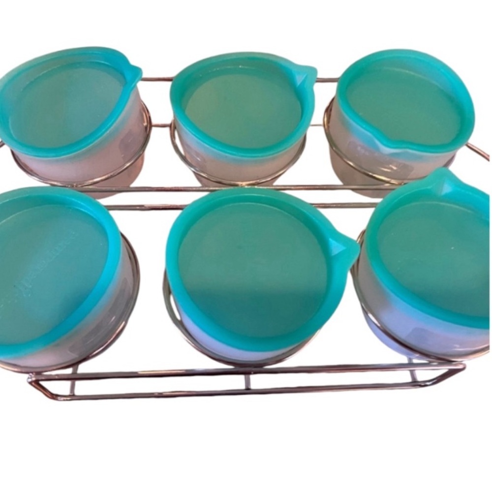 Pampered chefs baby food freezer frig storage container & rack new item not used